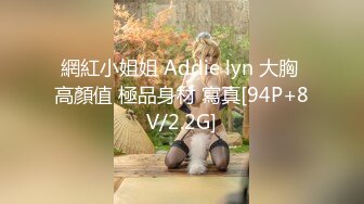 網紅小姐姐 Addie lyn 大胸 高顏值 極品身材 寫真[94P+8V/2.2G]