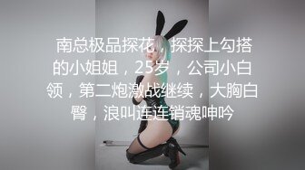 金瓶梅 同僚的秘密性爱