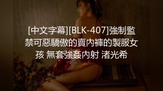 北京蚂蚁博士性奴老婆自慰1