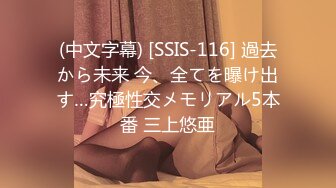 (中文字幕) [SSIS-116] 過去から未来 今、全てを曝け出す…究極性交メモリアル5本番 三上悠亜