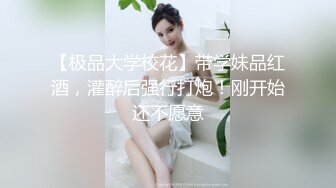    [中文字幕] HBAD-681 可愛的巨乳姪女喜歡大肉棒，一起玩的話一定會被搞上 星乃夏月