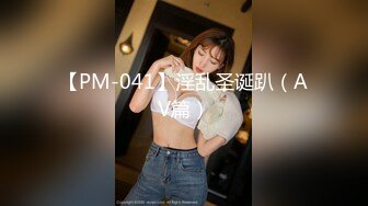 【PM-041】淫乱圣诞趴（AV篇）