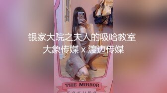 银家大院之夫人的吸哈教室 大象传媒 x 渡边传媒