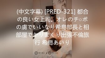 (中文字幕) [PRED-321] 都合の良い女上司。オレのチ○ポの虜でいいなり希島部長と相部屋でヤリまくり出張不倫旅行 希島あいり