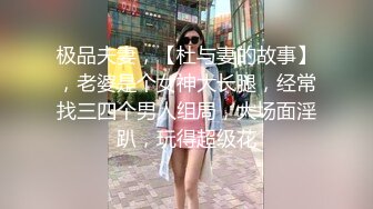 国产麻豆AV MD MD0063 女優面試員 袁庭妮