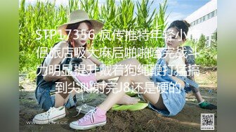 @MDL-0004 暗黑圣诞节 交换伴侣同学会