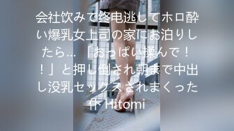 会社饮みで终电逃してホロ酔い爆乳女上司の家にお泊りしたら… 「おっぱい揉んで！！」と押し倒され朝まで中出し没乳セックスされまくった仆 Hitomi