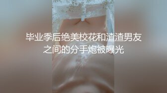 [2DF2]91大神让身材不错的老婆穿上情趣丝袜啪啪啪 [BT种子]