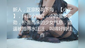 新约92小骚货1