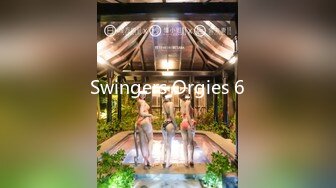 Swingers Orgies 6