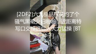 [2DF2]六九极品探花约了个骚气黑裙少妇啪啪，近距离特写口交摸逼后入大力猛操 [BT种子]