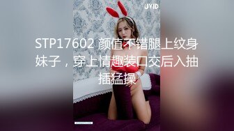 STP17602 颜值不错腿上纹身妹子，穿上情趣装口交后入抽插猛操