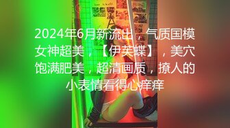 2024年7月，【推特巨乳】家有e妻，最新，黑丝艳舞篇，勾魂艳舞没人能抵挡得住，直接想扑倒操