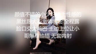 9/2最新 小情侣酒店深度啪啪自拍泄密女主沉浸式口活展示VIP1196