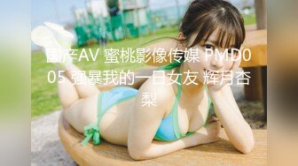 国产AV 蜜桃影像传媒 PMD005 强暴我的一日女友 辉月杏梨