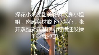 [2DF2] 风韵少妇战洋屌第十三弹～又是大鸡巴狂插骚逼的一天[BT种子]