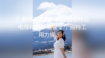 钛合金TiTi NO.059 女仆小玉