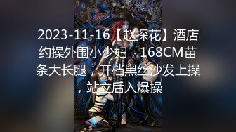 2023-11-16【赵探花】酒店约操外围小少妇，168CM苗条大长腿，开档黑丝沙发上操，站立后入爆操