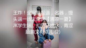 ❤️王子殿下❤️强制模拟打飞机 四爱模拟 红绿灯倒计时 推荐观看【37V】 (10)