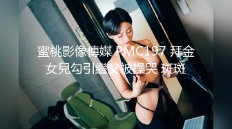 STP32276 蜜桃影像传媒 PME102 修理工用硬屌强修女主人 雪霏