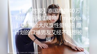 粉批＆少女感＆吹箫小可爱」P站★★★博主YourSofia手动去重合集【128V (10)