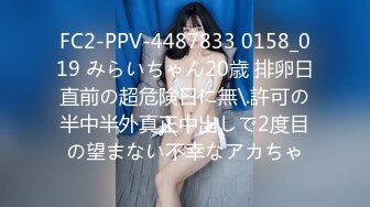 529STCV-383 《YSPされた女【えま/？？歳/英会話講師】》色気駄々洩れ美人ハーフ講師を拉○って拘束強○決行！依頼人と一緒にチ○ポで理解らさせ○オール中出し4射精【YSP×FAMILY♯TARGET-009】