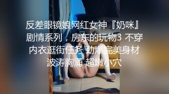 极品熟女美少妇内裤五颜六色的，网袜后入操逼