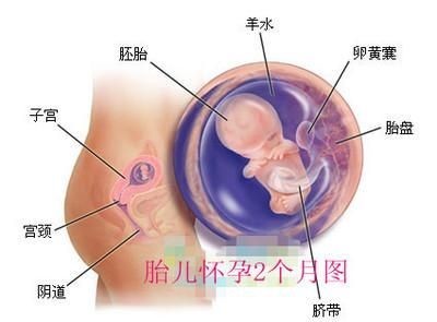 男性做昆明辅助受孕试管婴儿的前提条件是什么