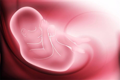江门借卵试管助孕成功率排名：镇江市借出卵子做试管婴儿的医院名单（男孩）! 随着镇江借卵成功率的提高。